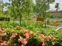 Parc Botannia (D28), Condominium #404622251